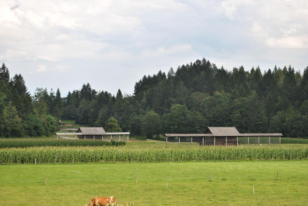 Farm Holidays Povsin Bled Luaran gambar